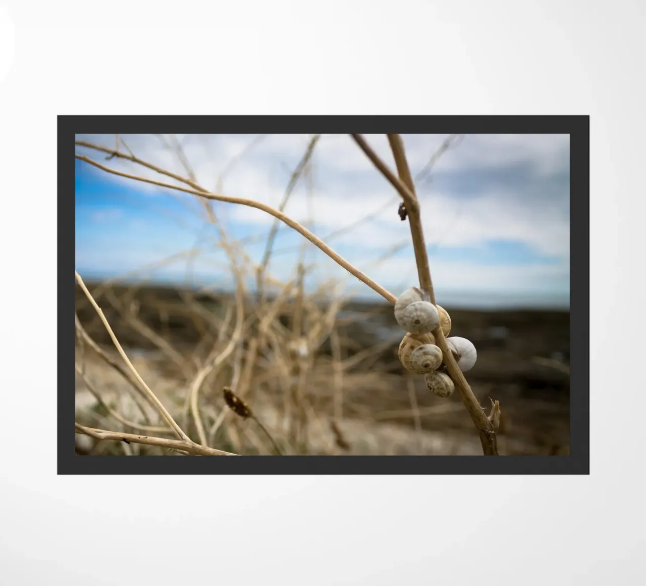 Strandmuschel Fußmatte von MiniClic