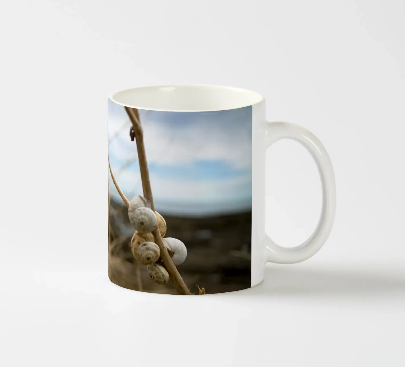Beach shells ceramic mug by MiniClic