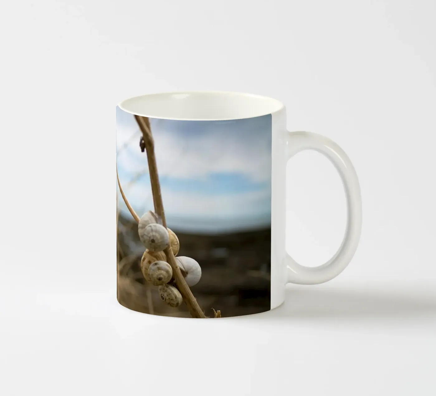 Coquillage de plage mug en céramique de MiniClic