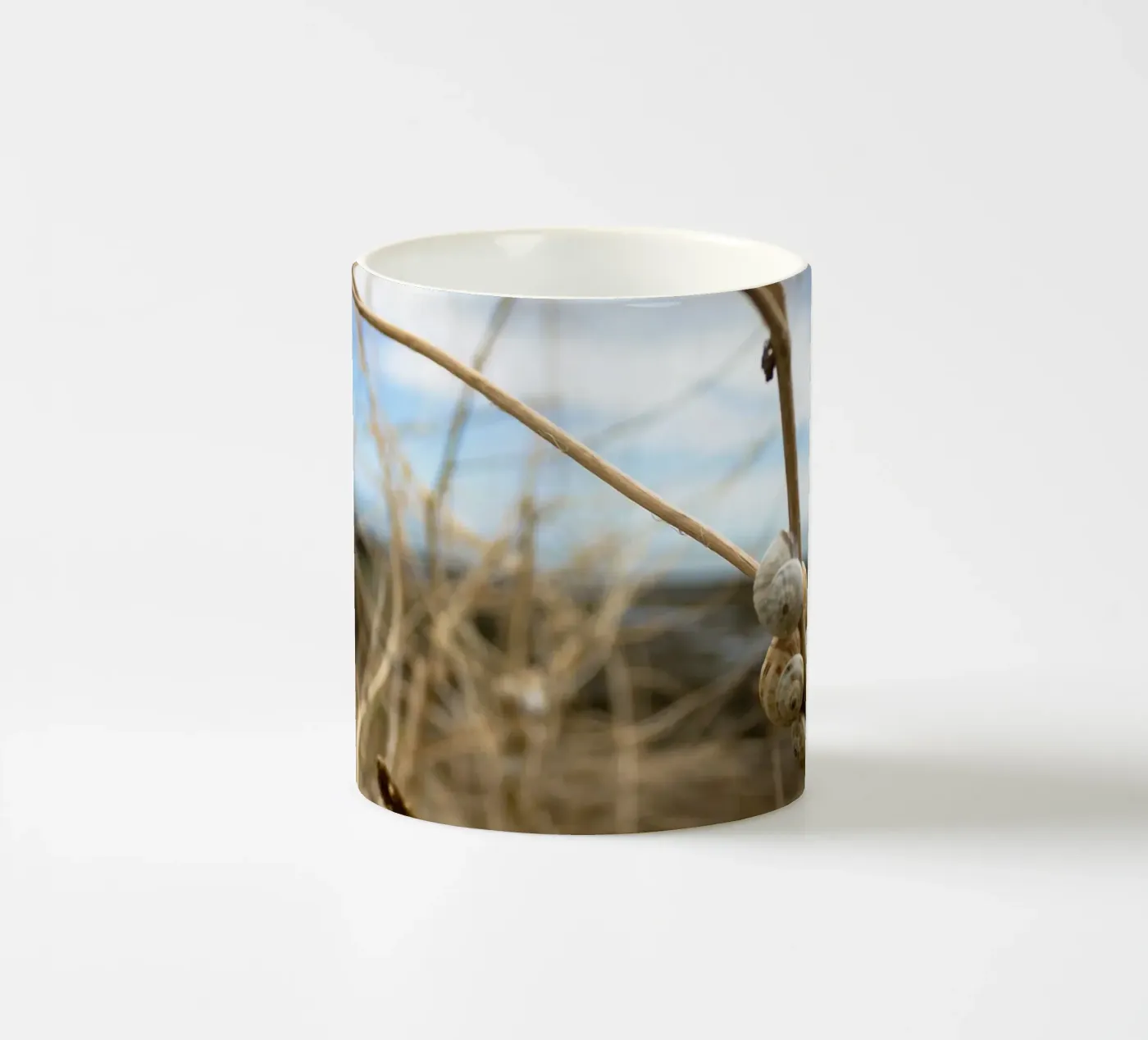Beach shells ceramic mug by MiniClic