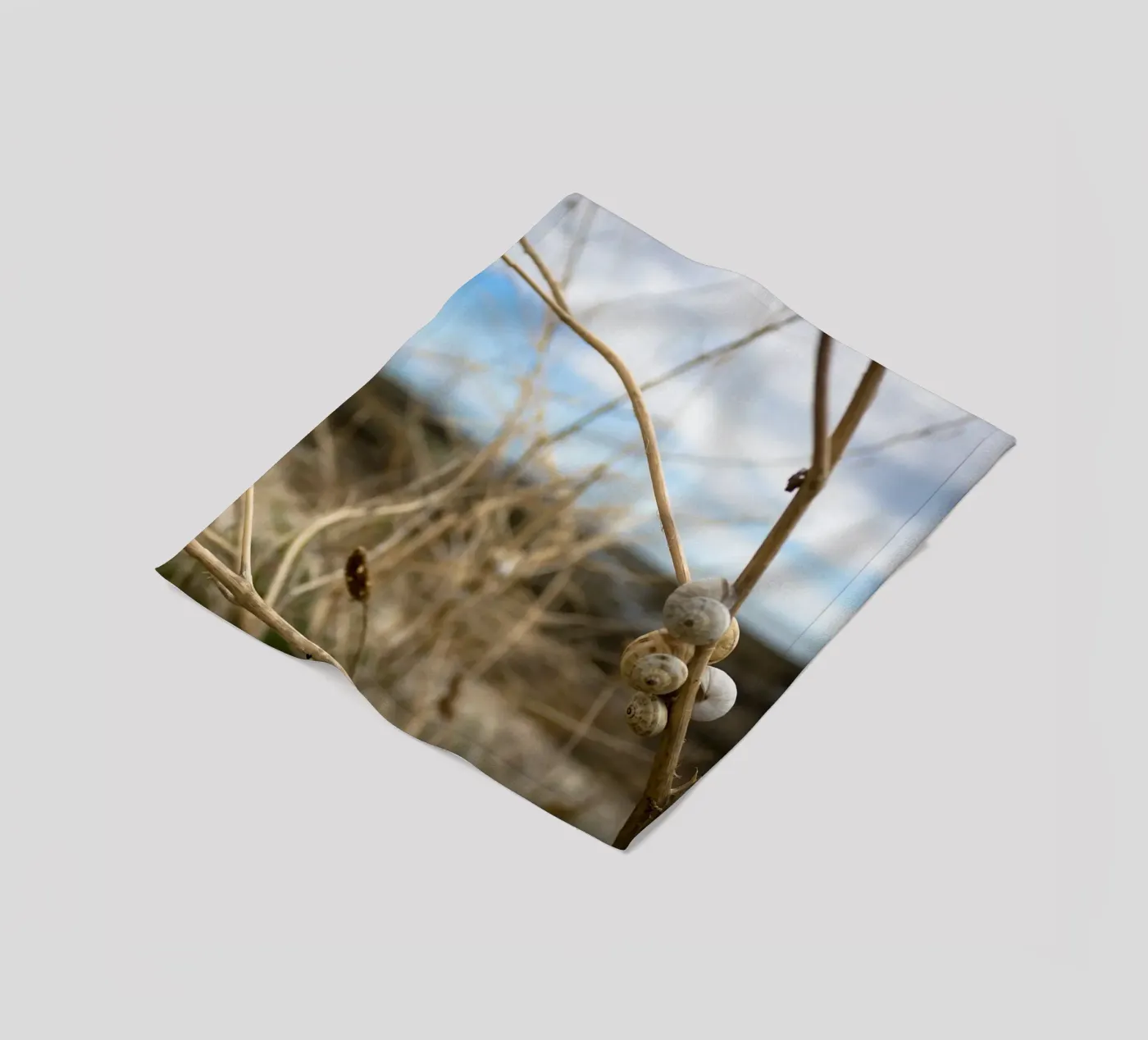 Beach shells fleece blanket by MiniClic