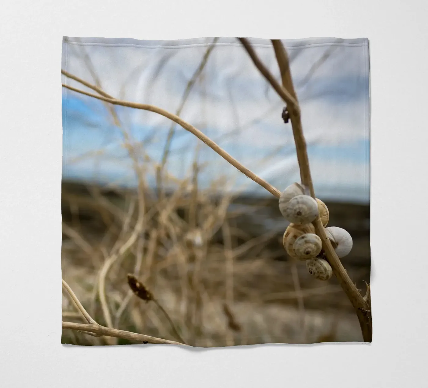 Beach shells fleece blanket by MiniClic