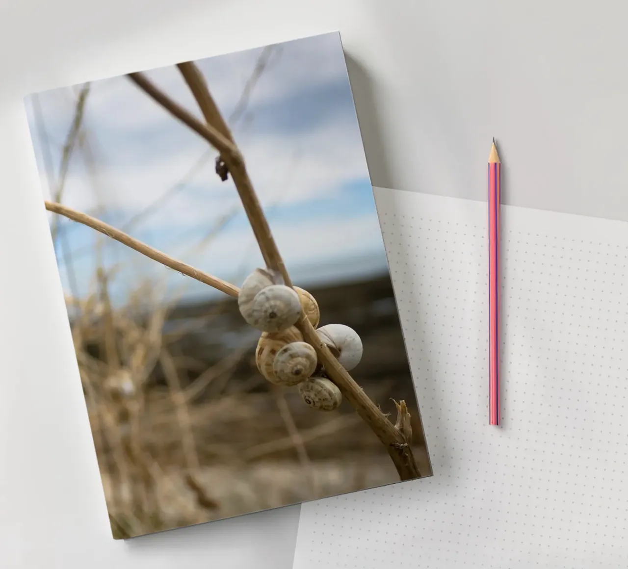 Beach shells notebook by MiniClic