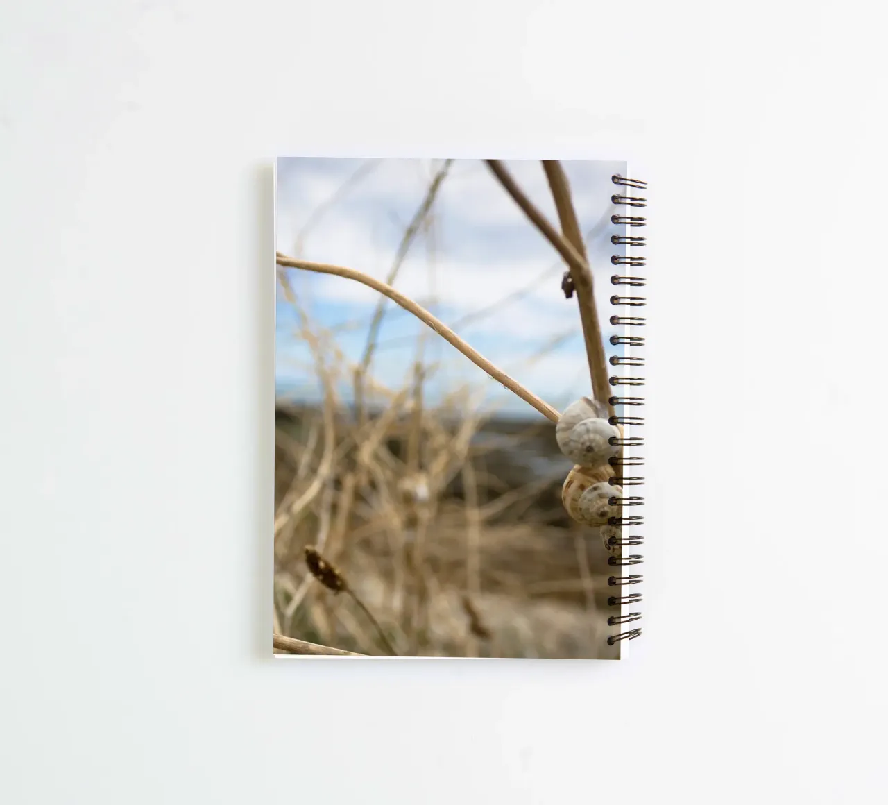 Beach shells spiral notebook by MiniClic