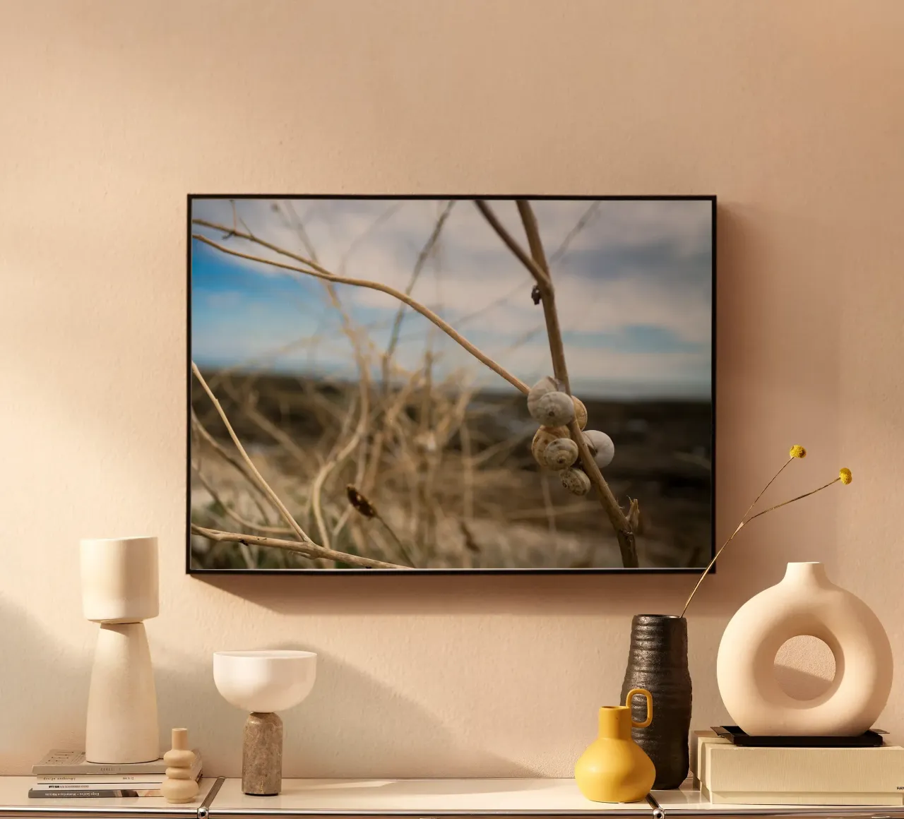 Beach shells forex plate by MiniClic