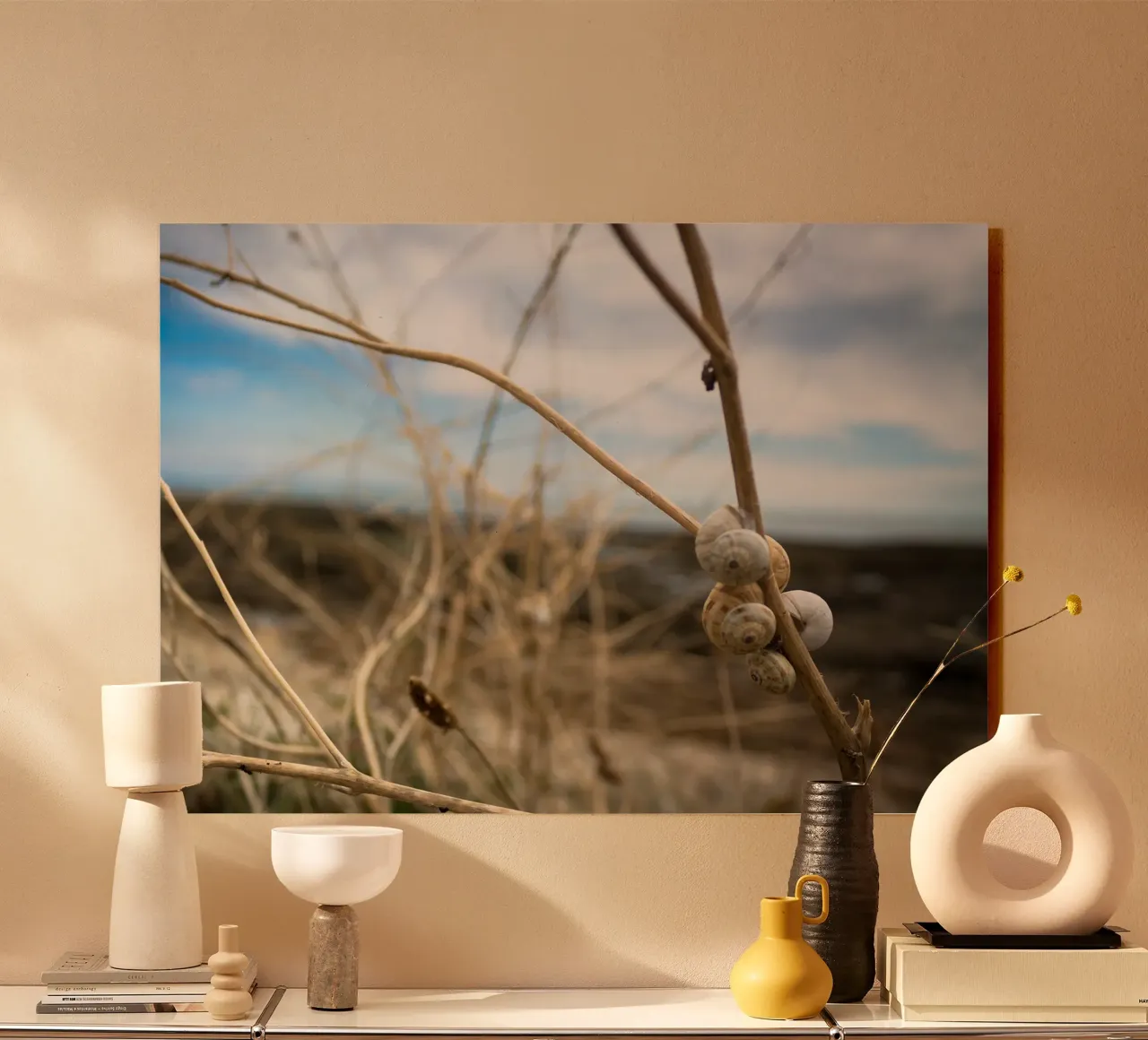 Beach shells forex plate by MiniClic