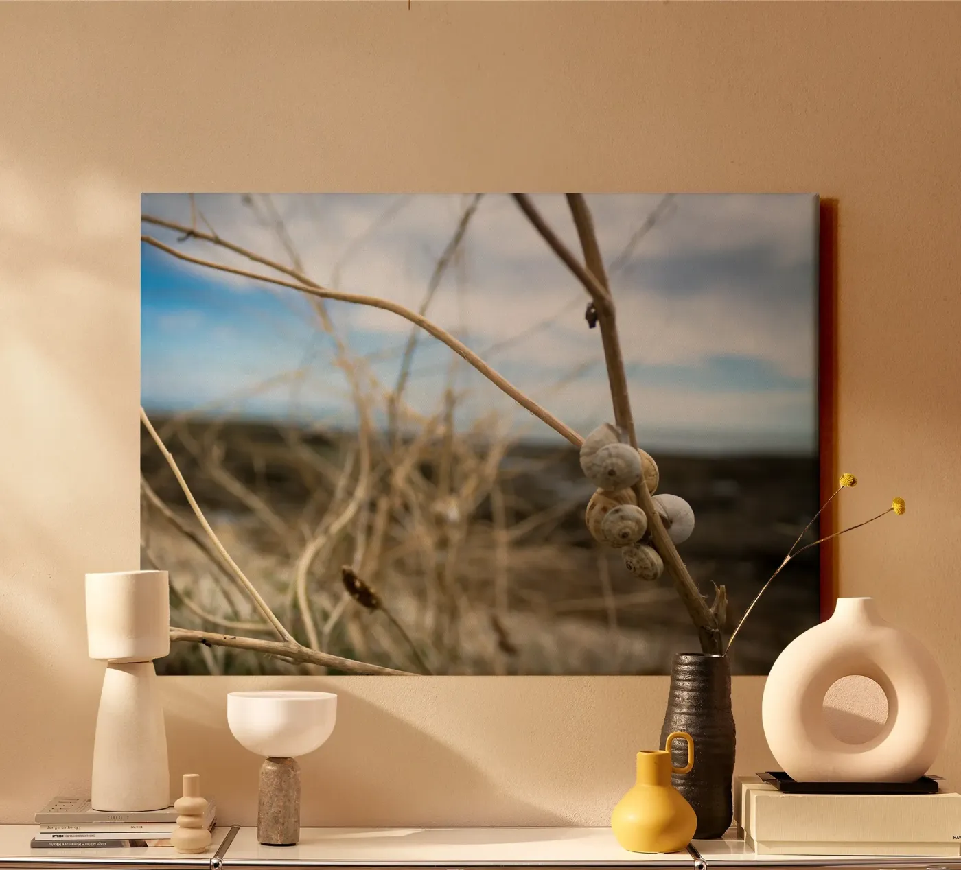 Beach shells canvas by MiniClic