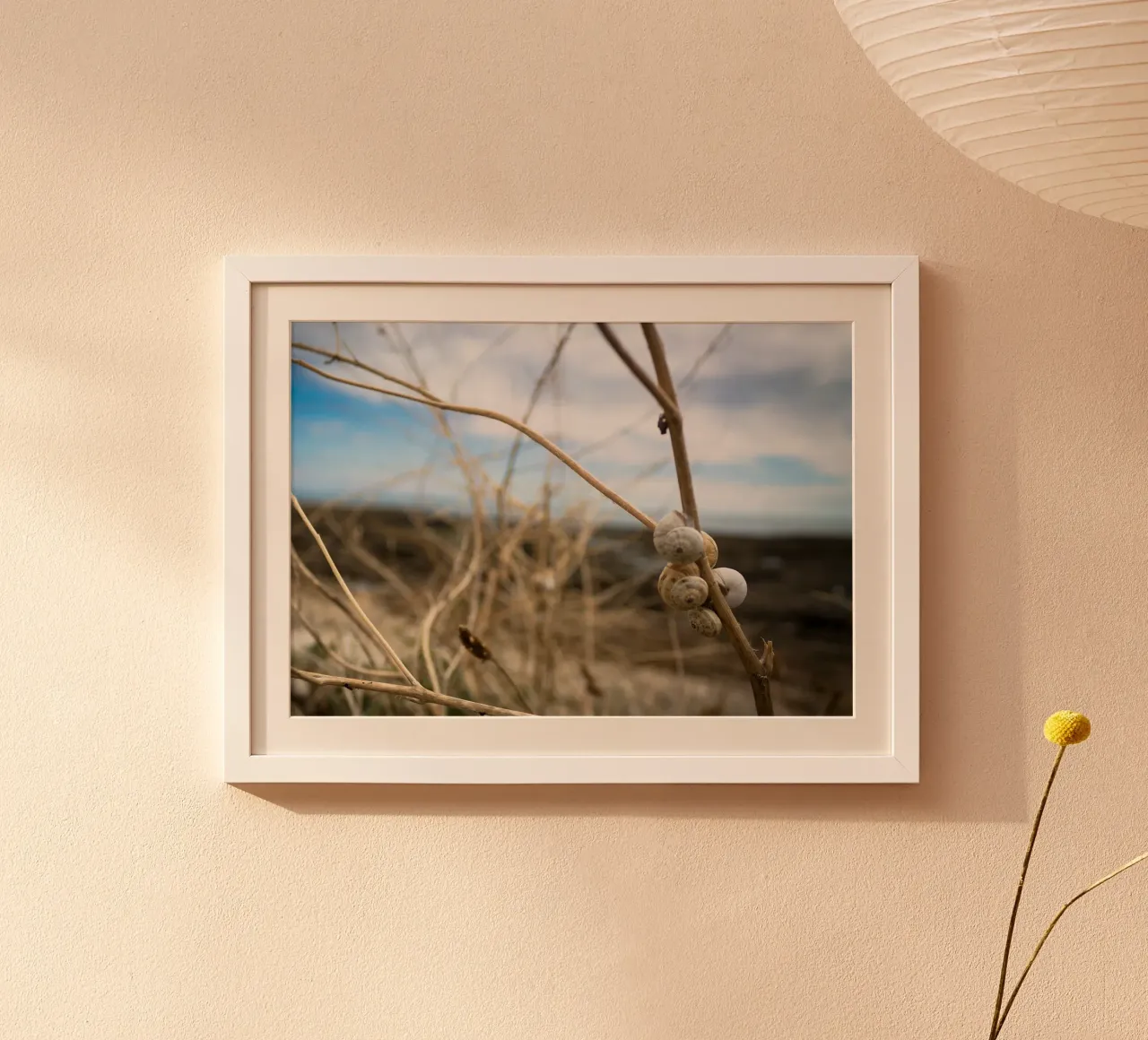 Beach shells poster by MiniClic