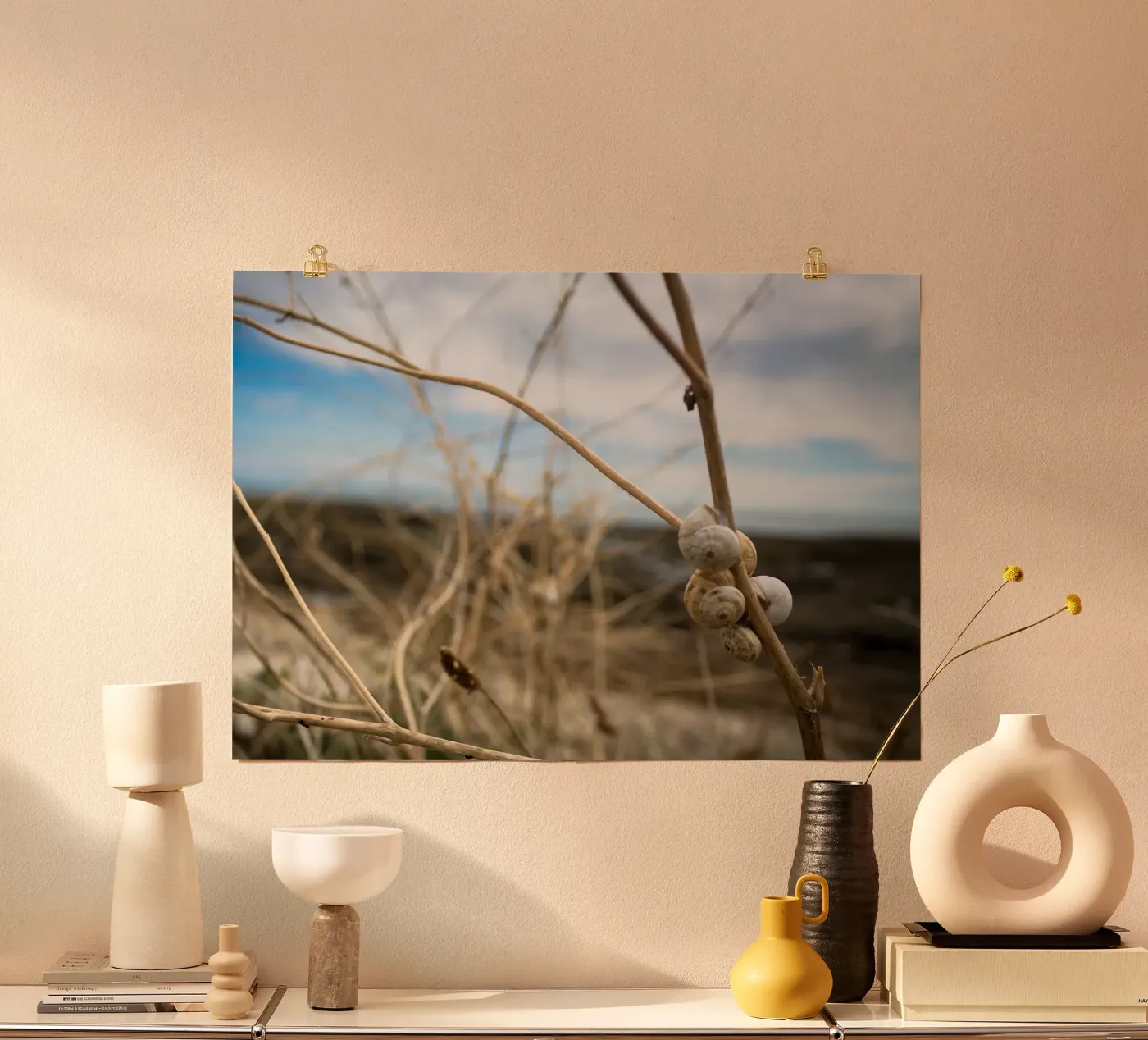 Beach shells poster by MiniClic