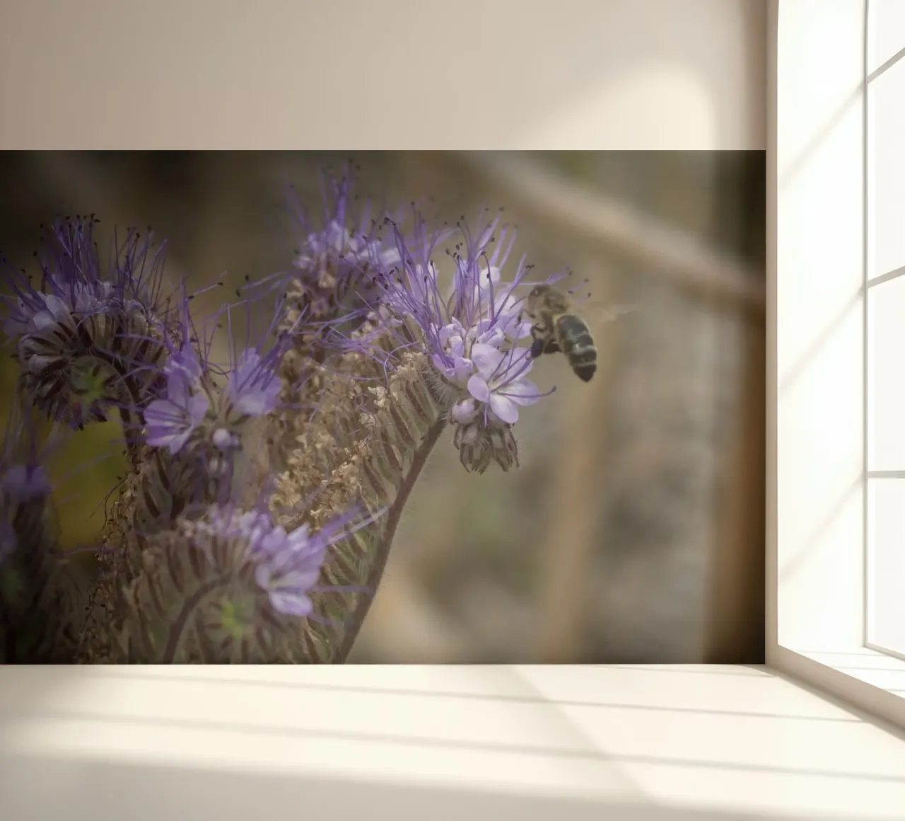 Lavendelgarten und Biene Fototapete von MiniClic