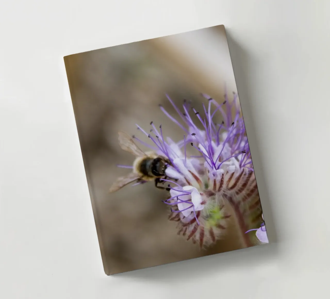 Bee in the garden notebook by MiniClic