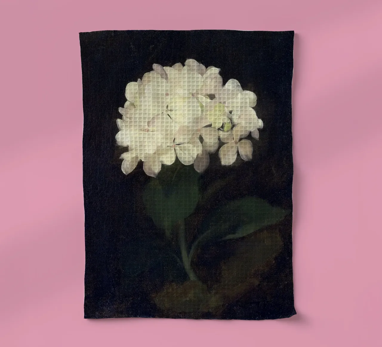 White Hydrangea Flower canovaccio da cucina da apoloprints