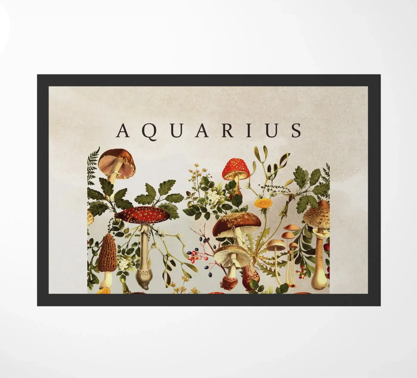AQUARIUS zerbino da burcukorkmazyurek