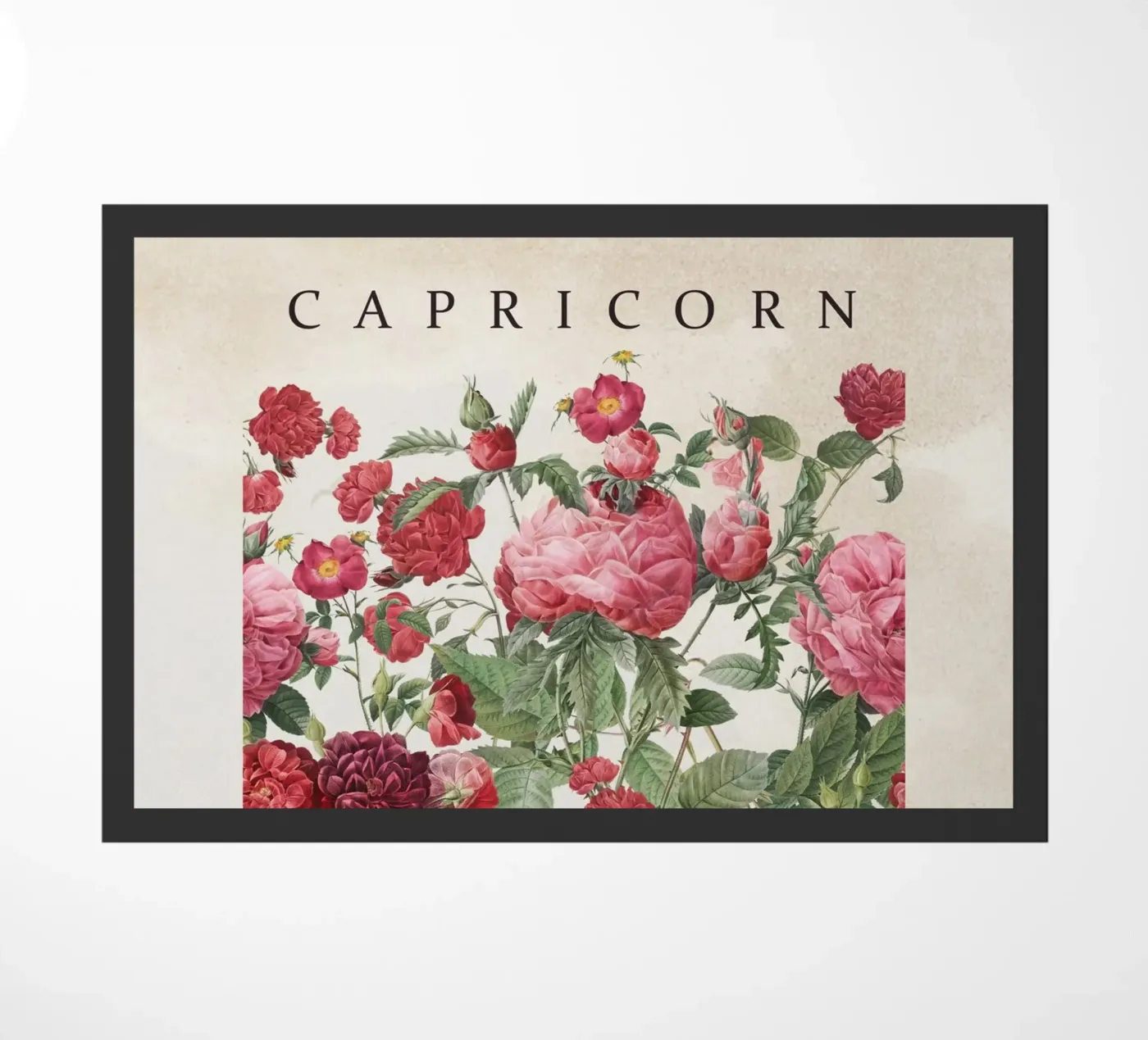 CAPRICORN zerbino da burcukorkmazyurek