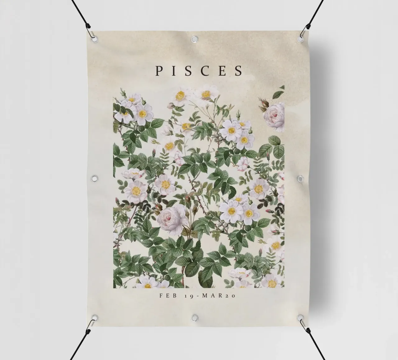PISCES telo in pvc da burcukorkmazyurek