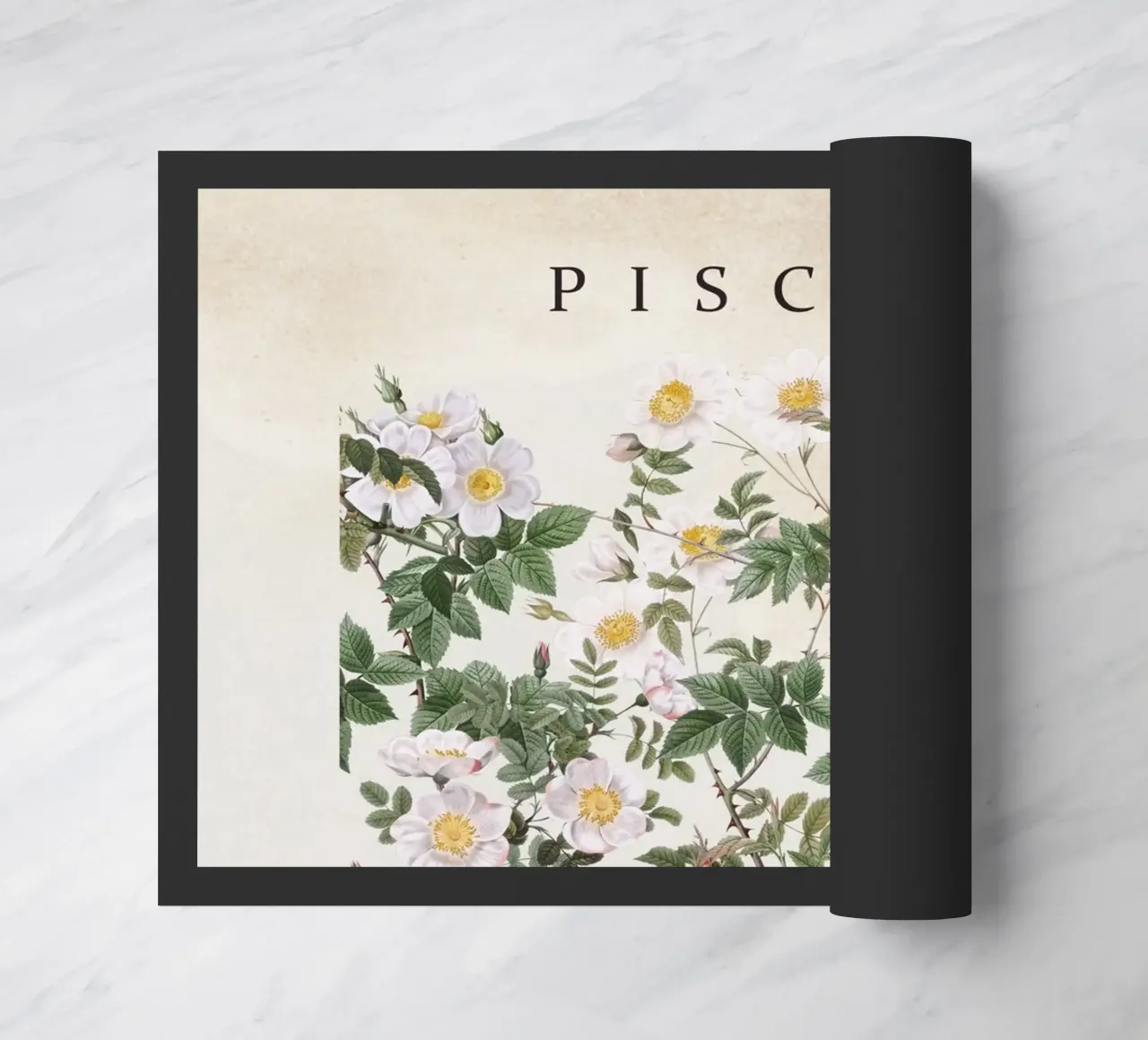 PISCES zerbino da burcukorkmazyurek