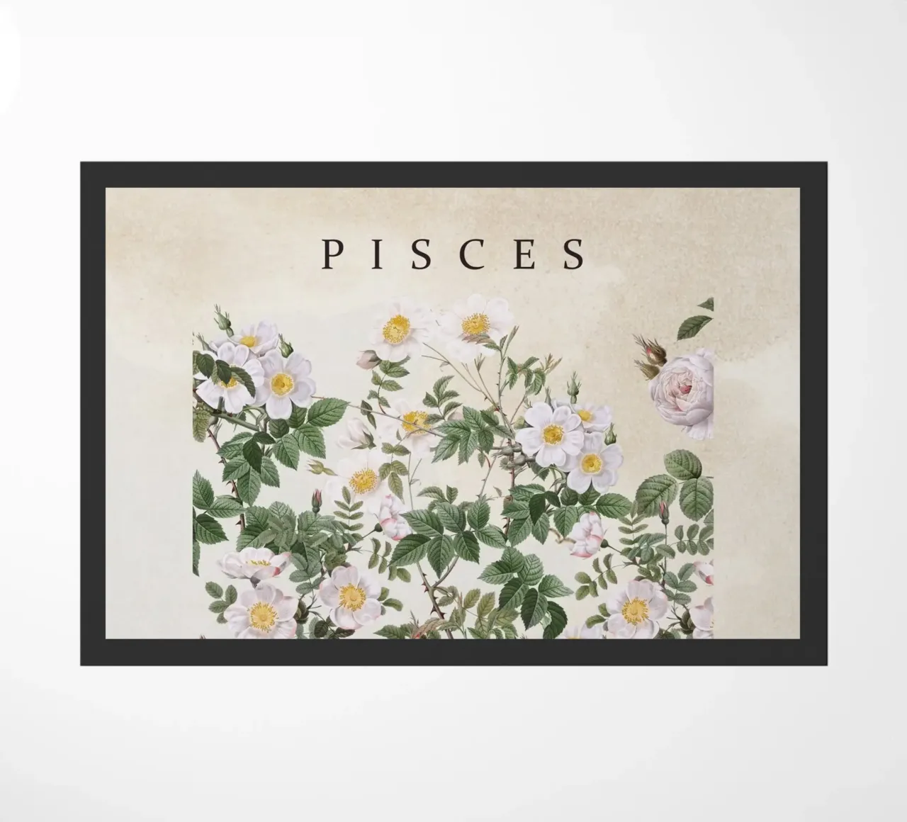 PISCES zerbino da burcukorkmazyurek