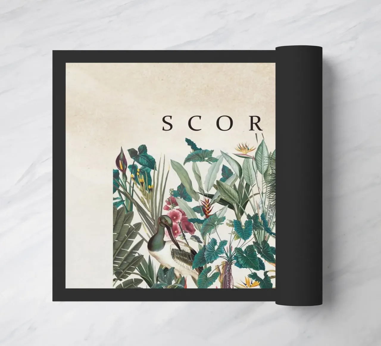 SCORPIO zerbino da burcukorkmazyurek