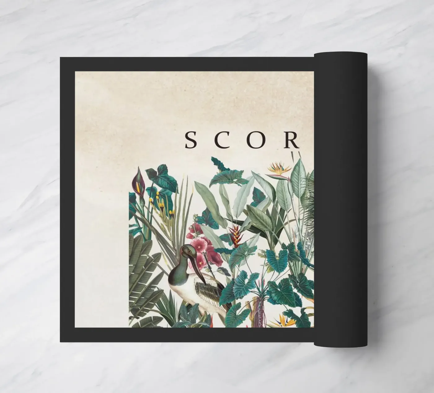 SCORPIO zerbino da burcukorkmazyurek