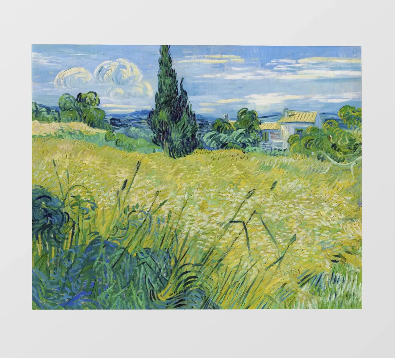 Green Wheat Field with Cypress (1889) by Vincent van Gogh pvc cover by Van Gogh Prints