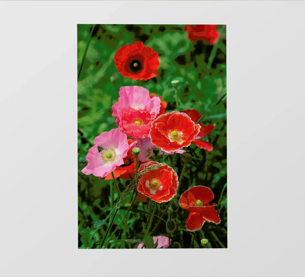 Pink and Red Poppies telo in pvc da Curious Collections by Marielle Leenders