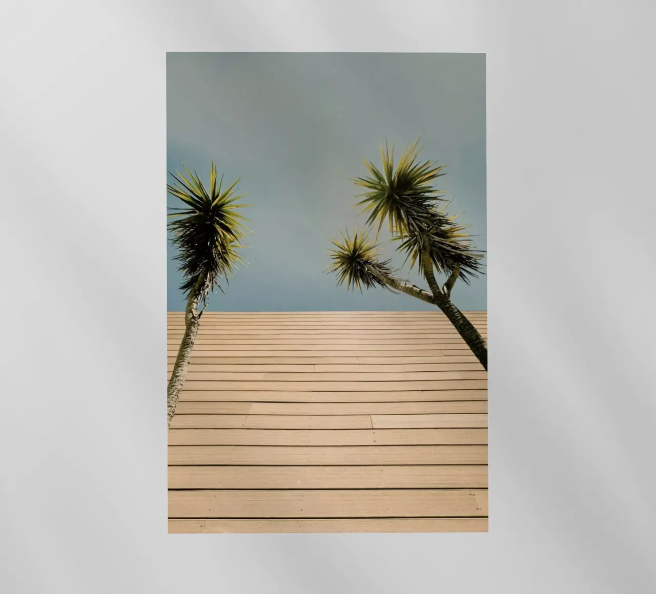 Retro Palms pellicola backlit da Sebastian Hilgetag