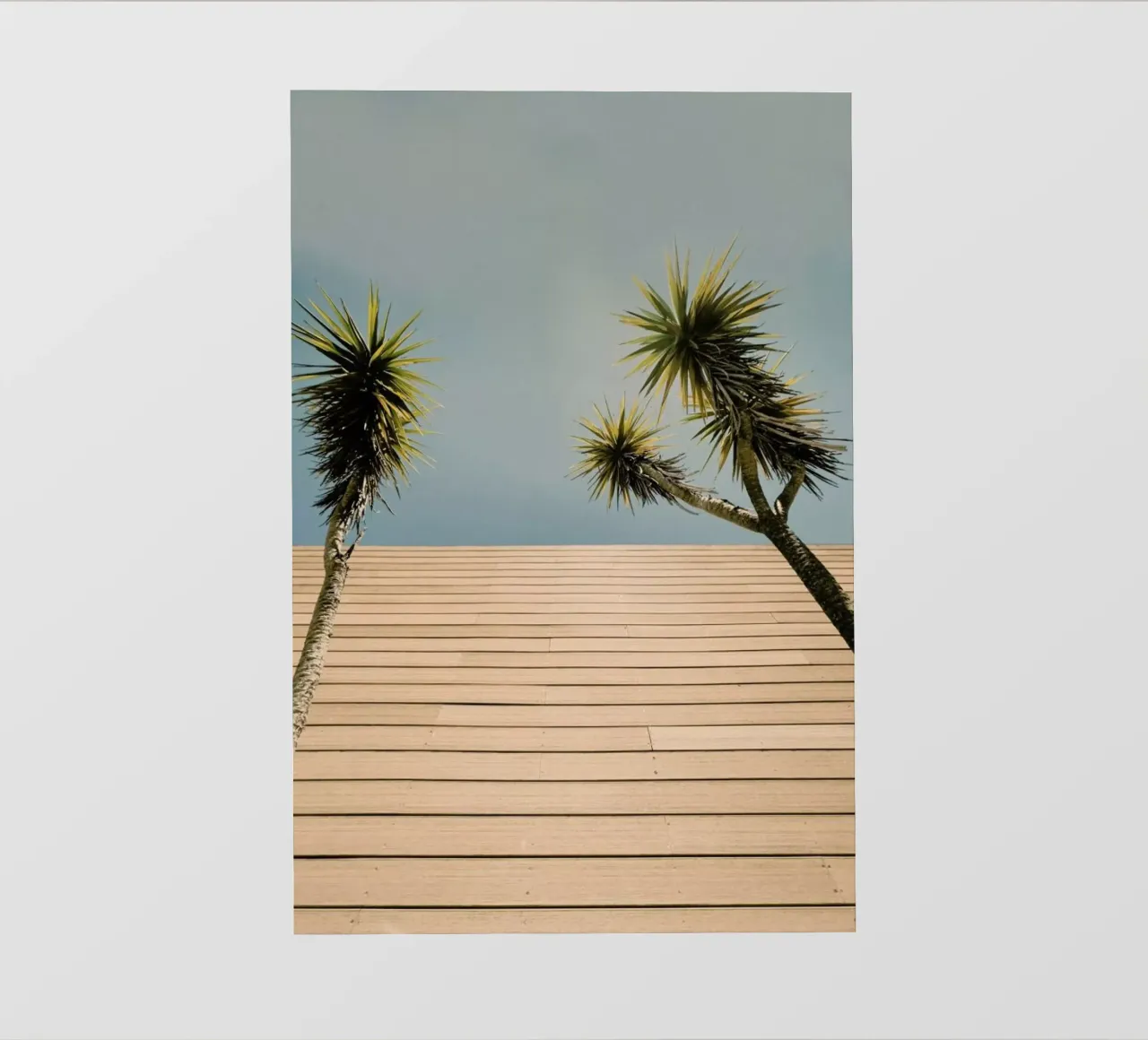 Retro Palms telo in pvc da Sebastian Hilgetag