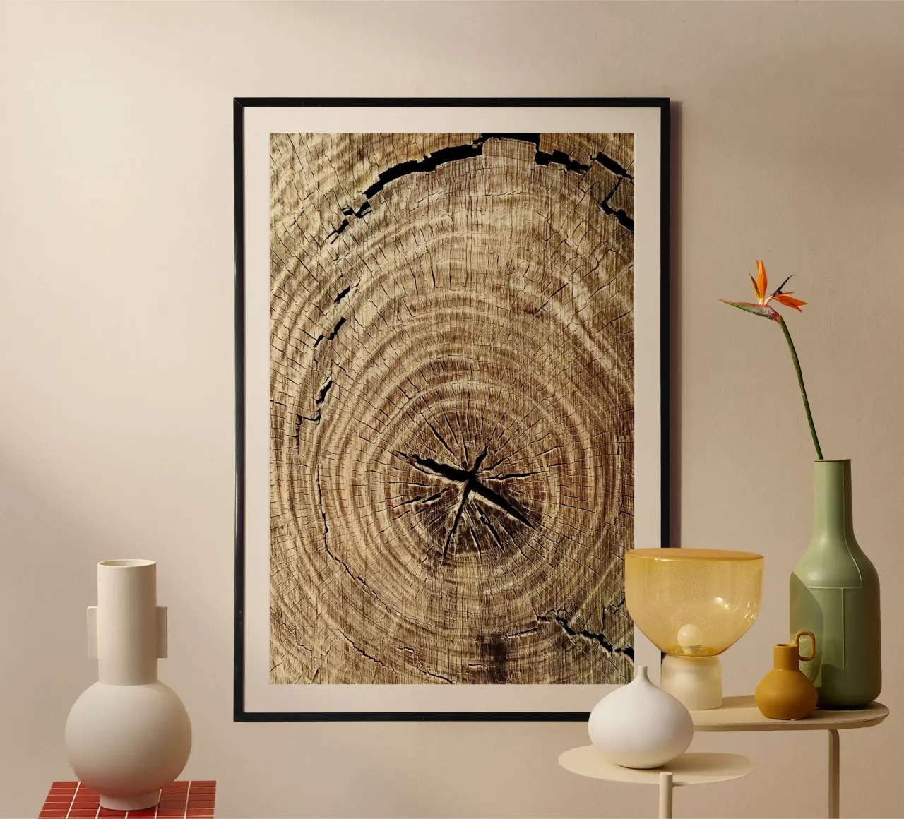 Anelli di alberi tagliati Fotografia poster da rapunsell