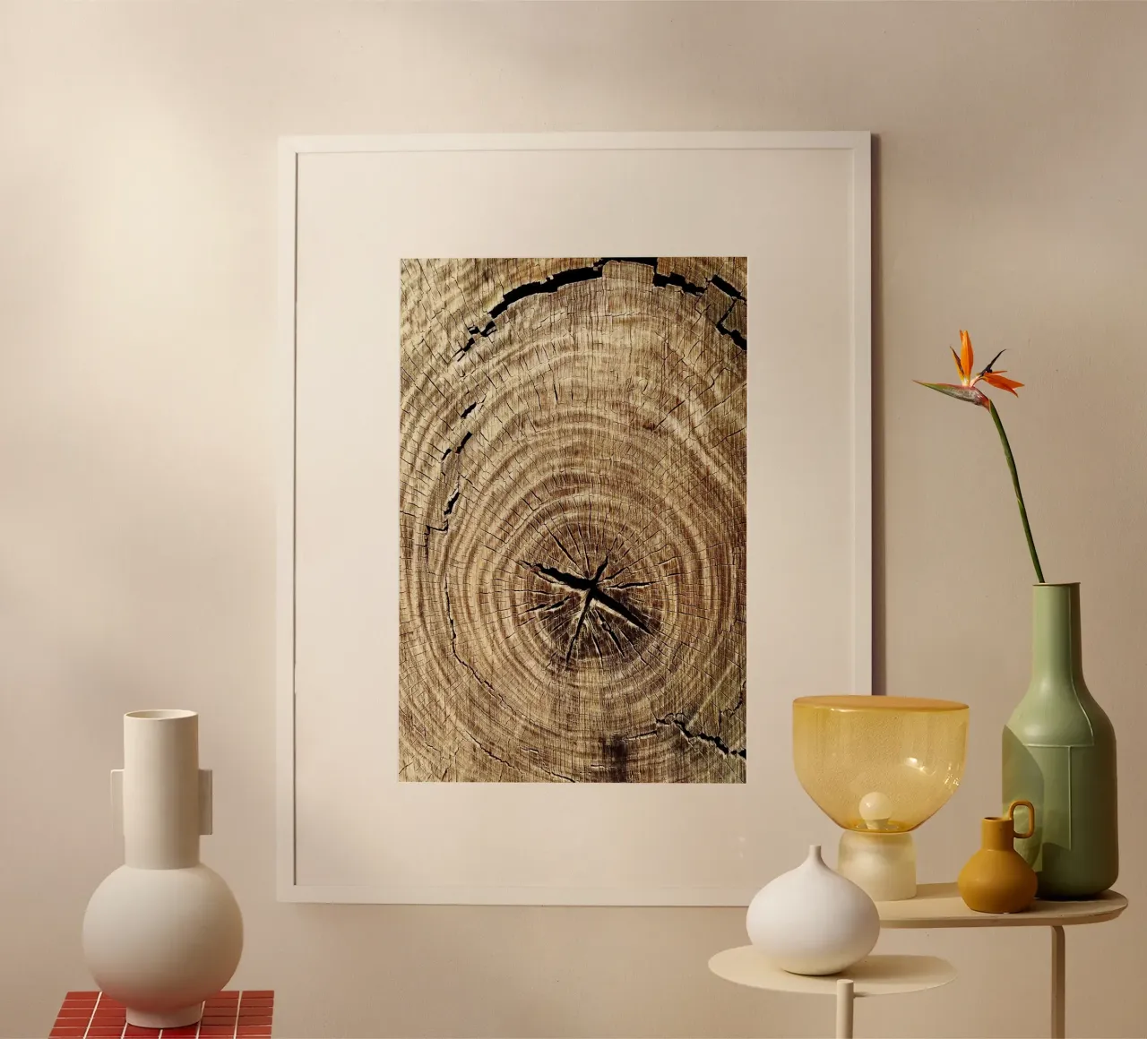Anelli di alberi tagliati Fotografia poster da rapunsell