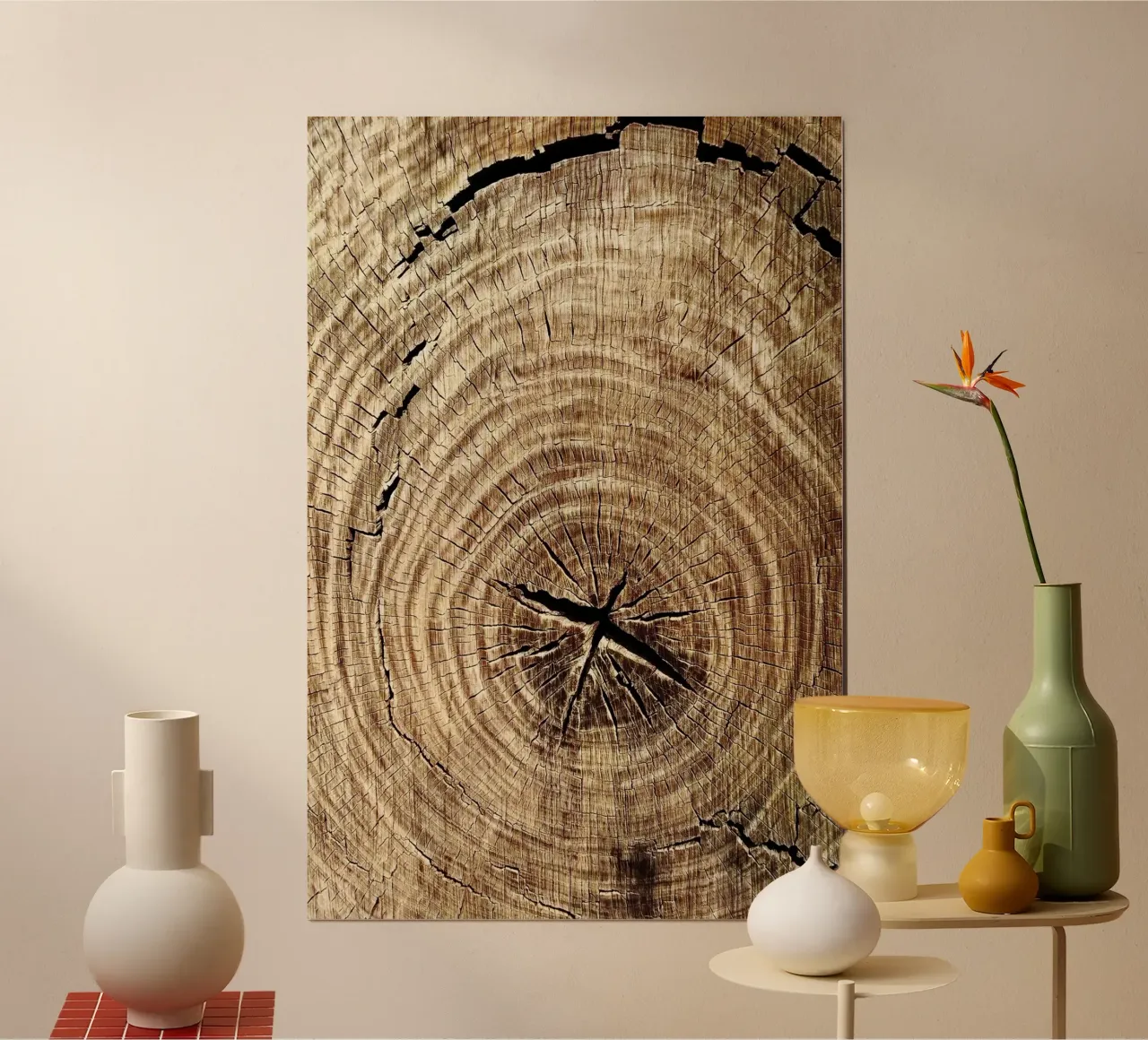 Anelli di alberi tagliati Fotografia poster da rapunsell
