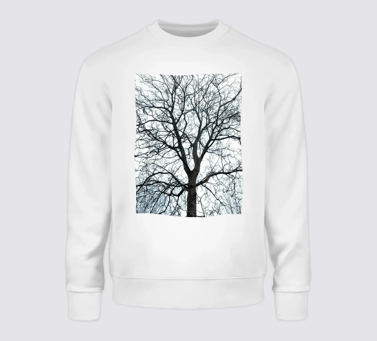 Alberi secchi felpa da rapunsell