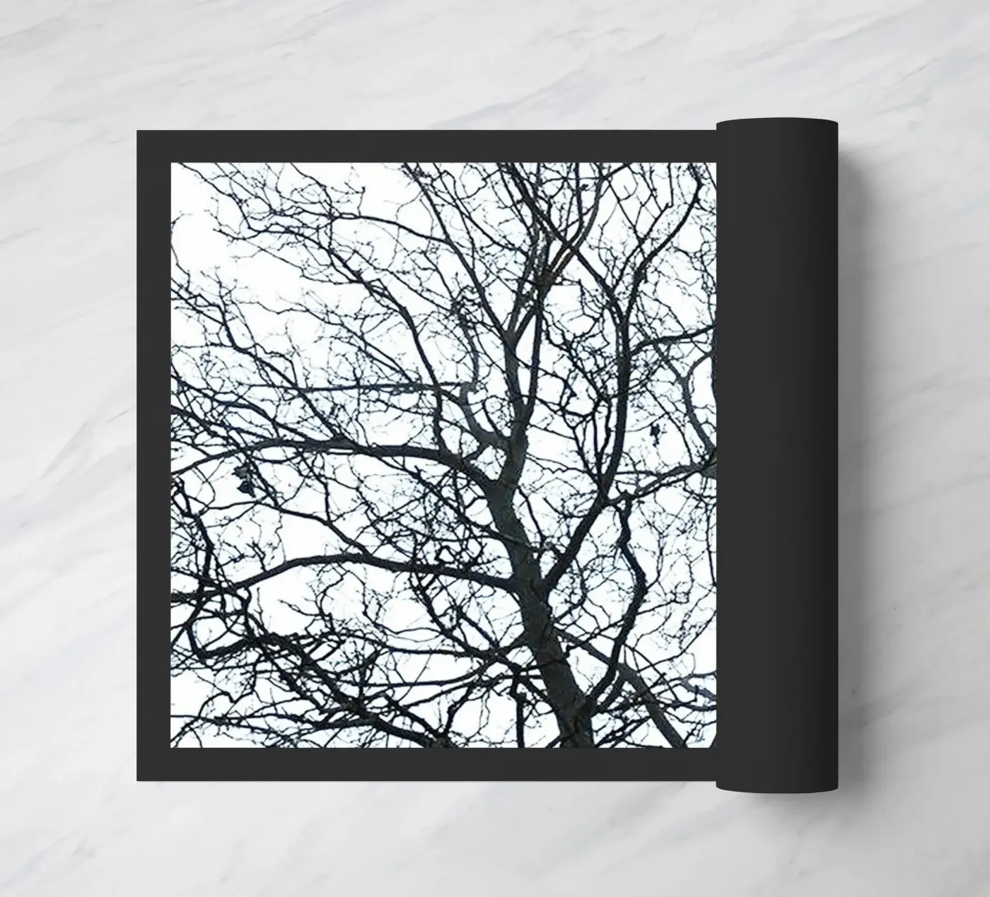 Dry Trees doormat by rapunsell