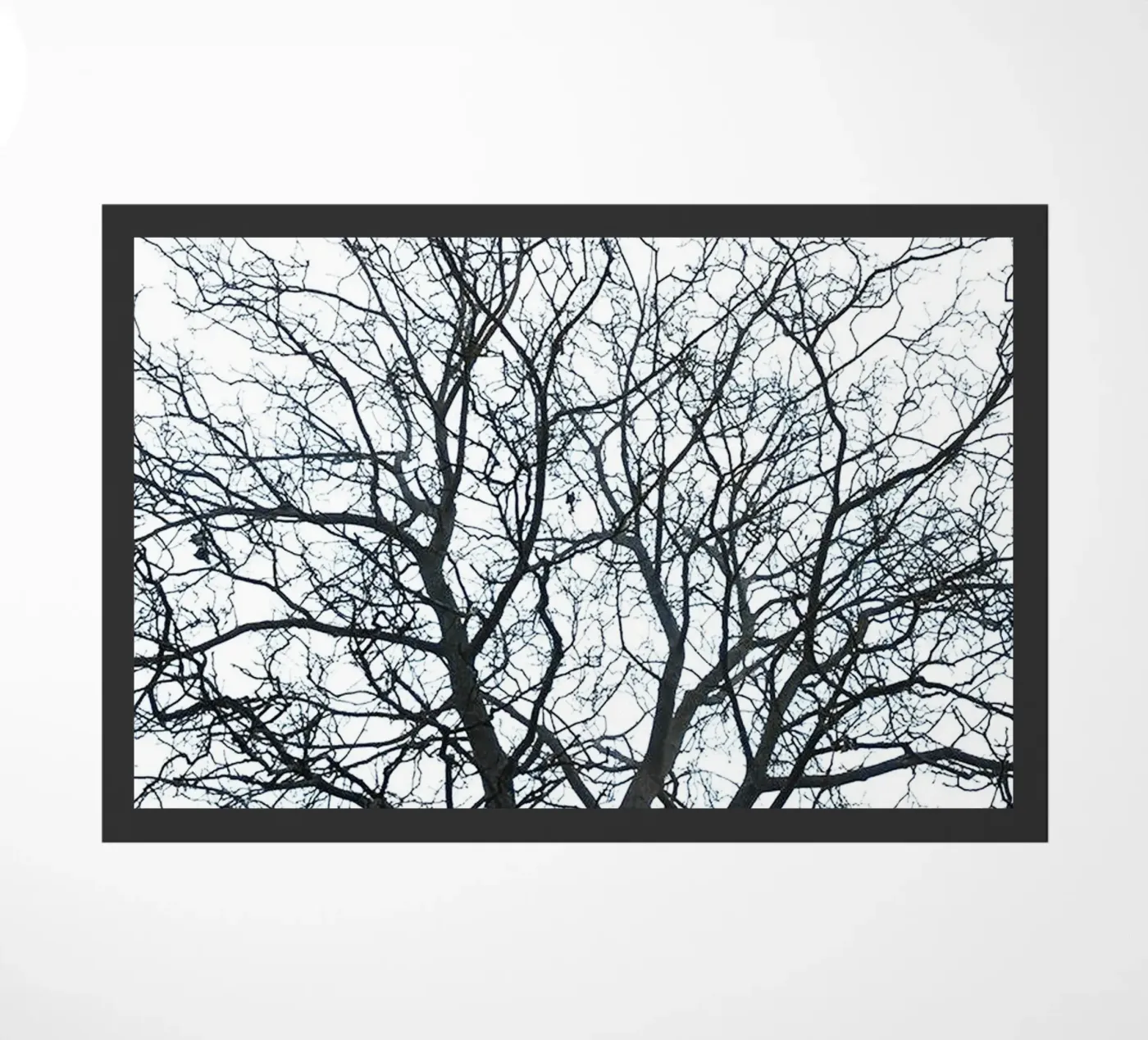 Dry Trees doormat by rapunsell