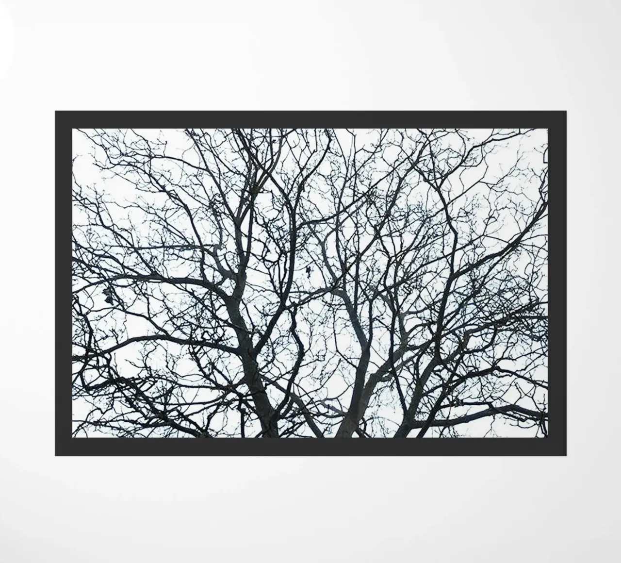 Alberi secchi zerbino da rapunsell