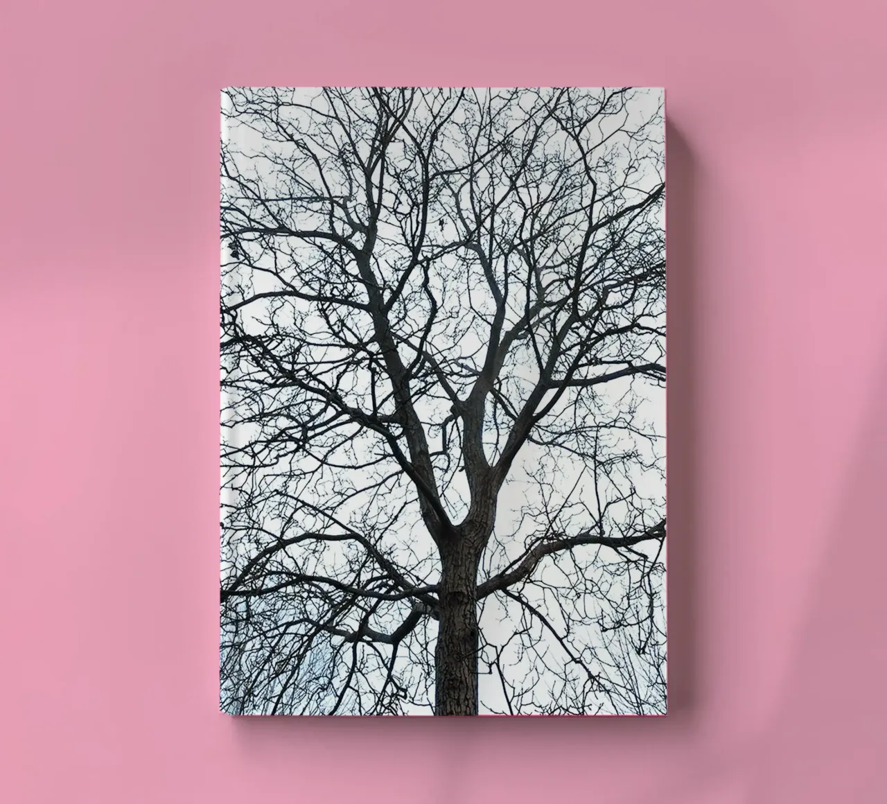 Dry Trees notebook by rapunsell