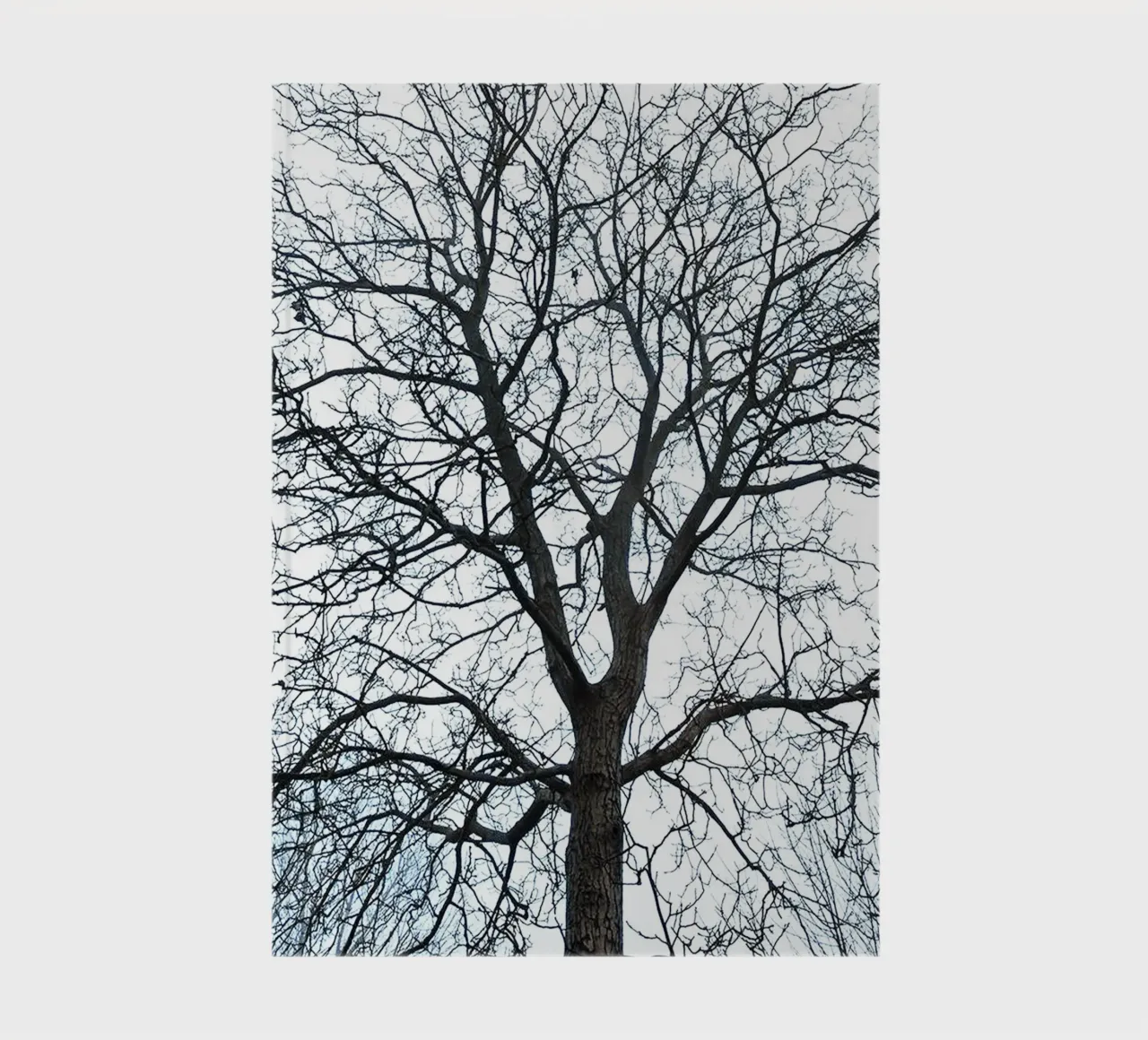 Dry Trees notebook by rapunsell