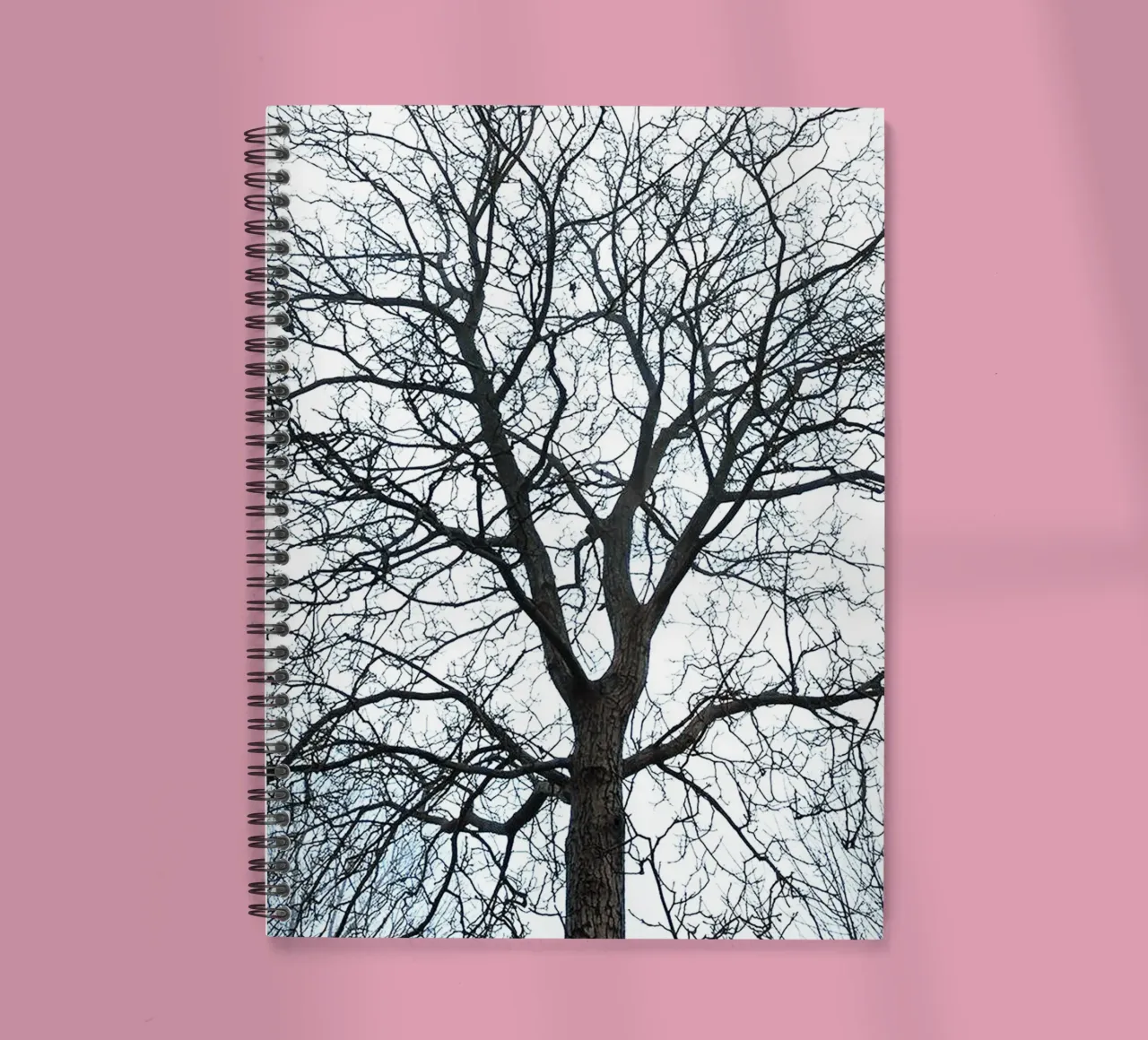 Dry Trees spiral notebook by rapunsell