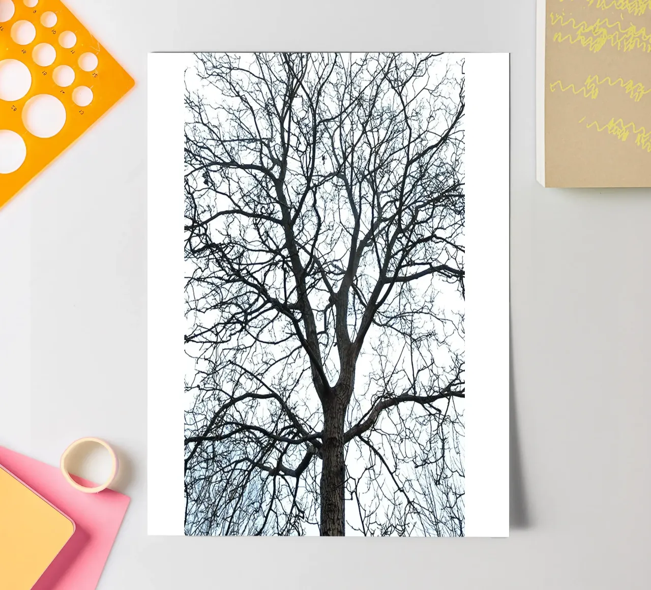 Alberi secchi foglio adesivo da rapunsell