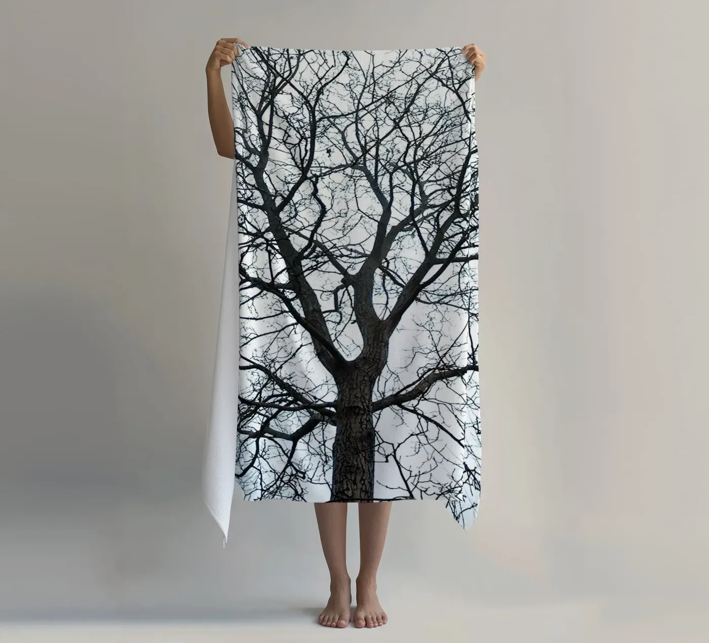 Dry Trees telo mare da rapunsell