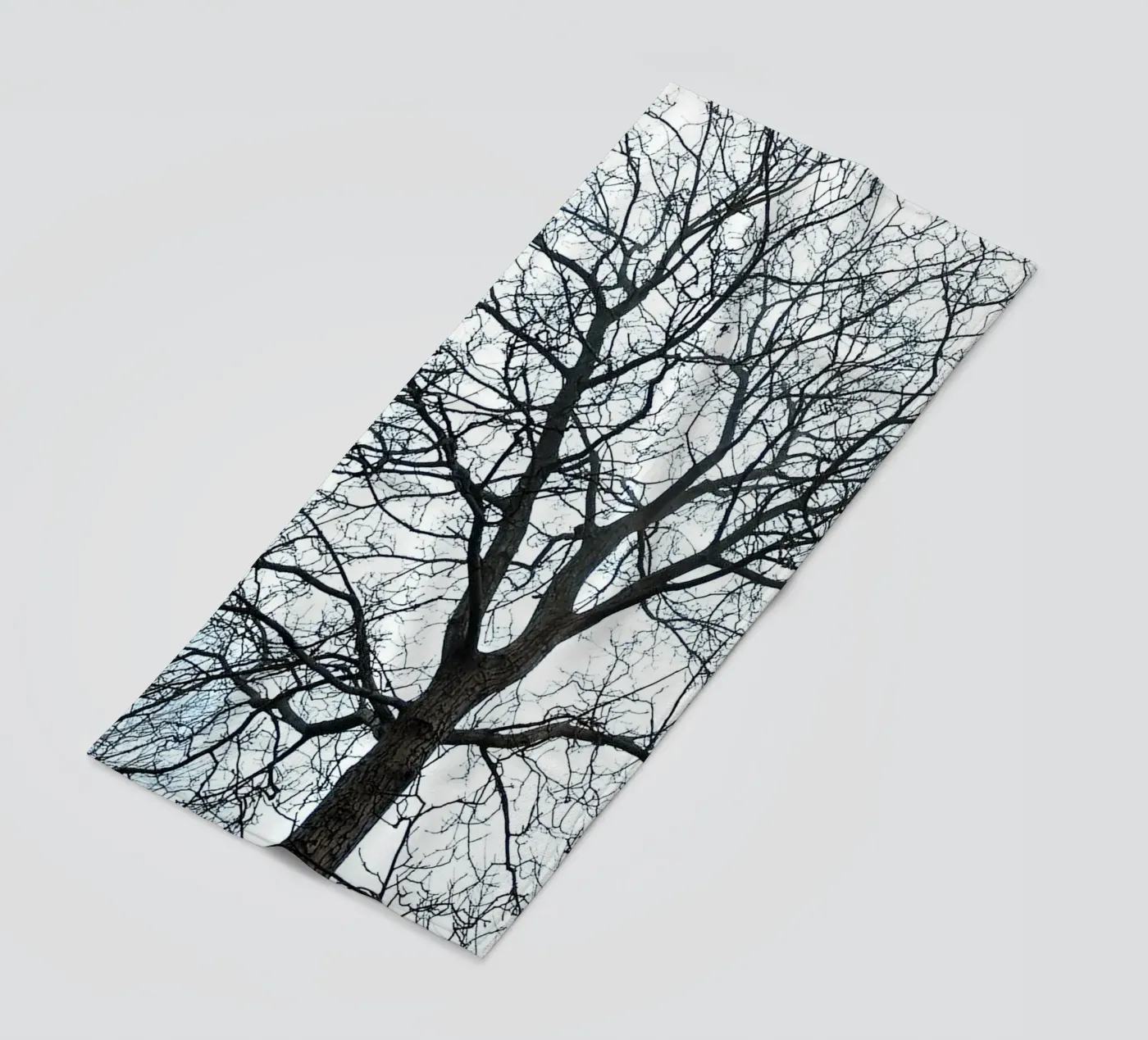 Dry Trees telo mare da rapunsell