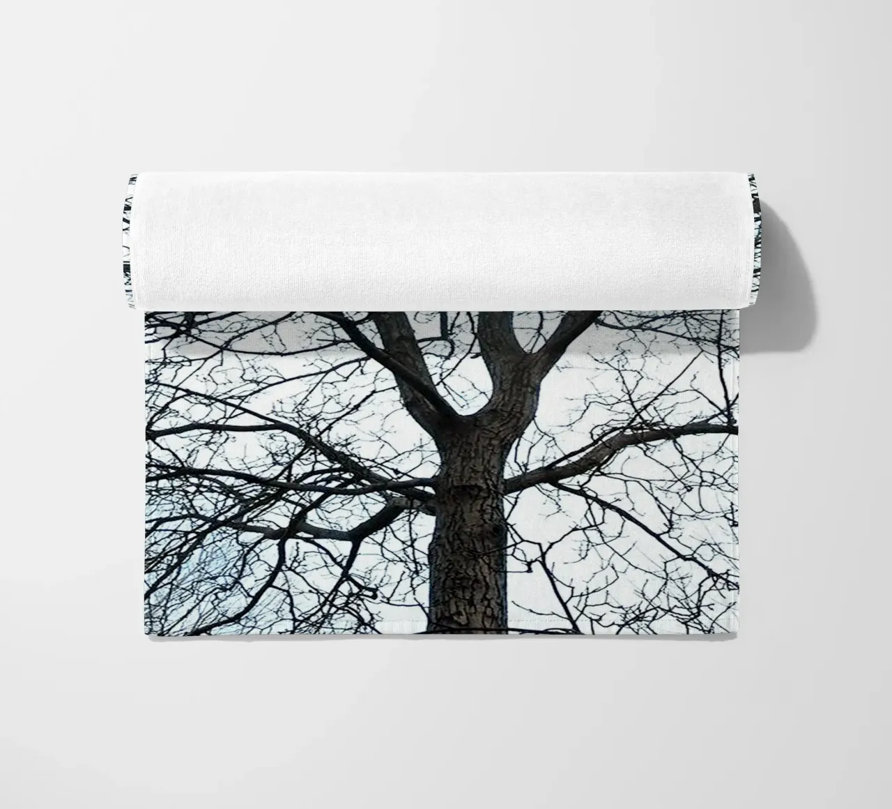 Alberi secchi telo mare da rapunsell