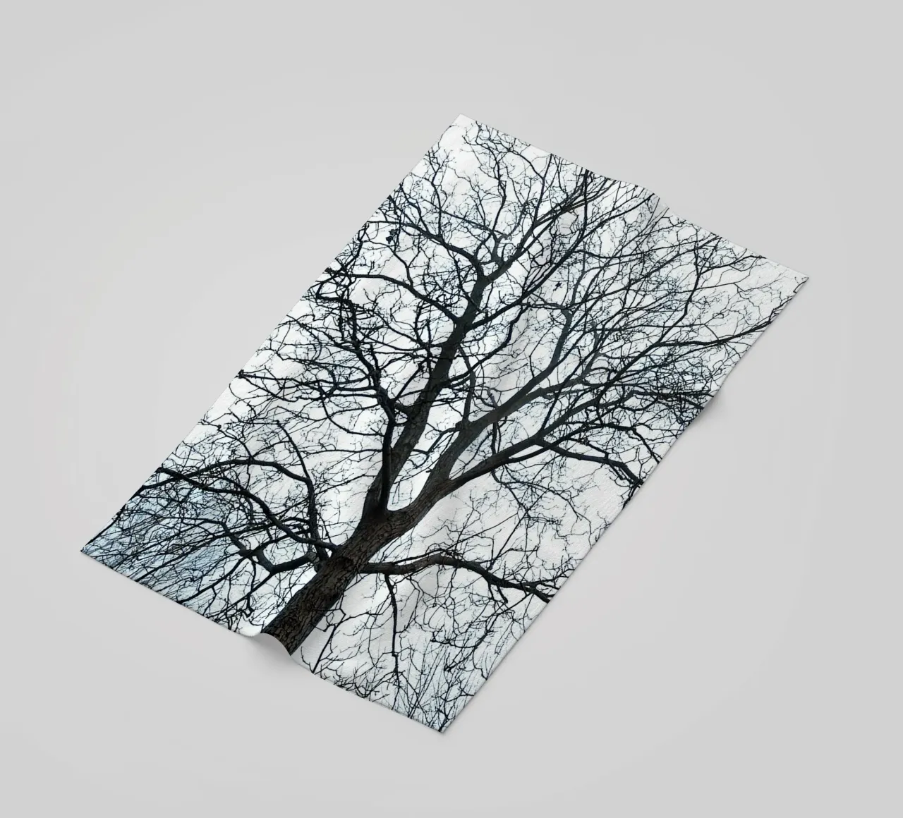 Alberi secchi telo mare da rapunsell