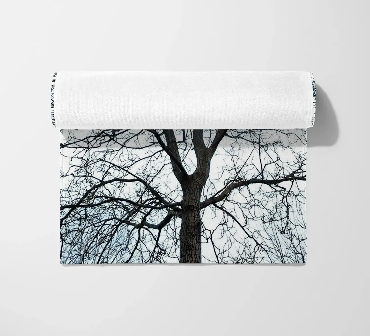 Alberi secchi telo mare da rapunsell