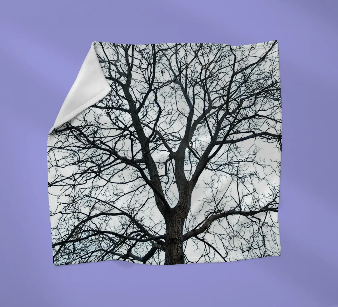 Dry Trees fleece blanket by rapunsell