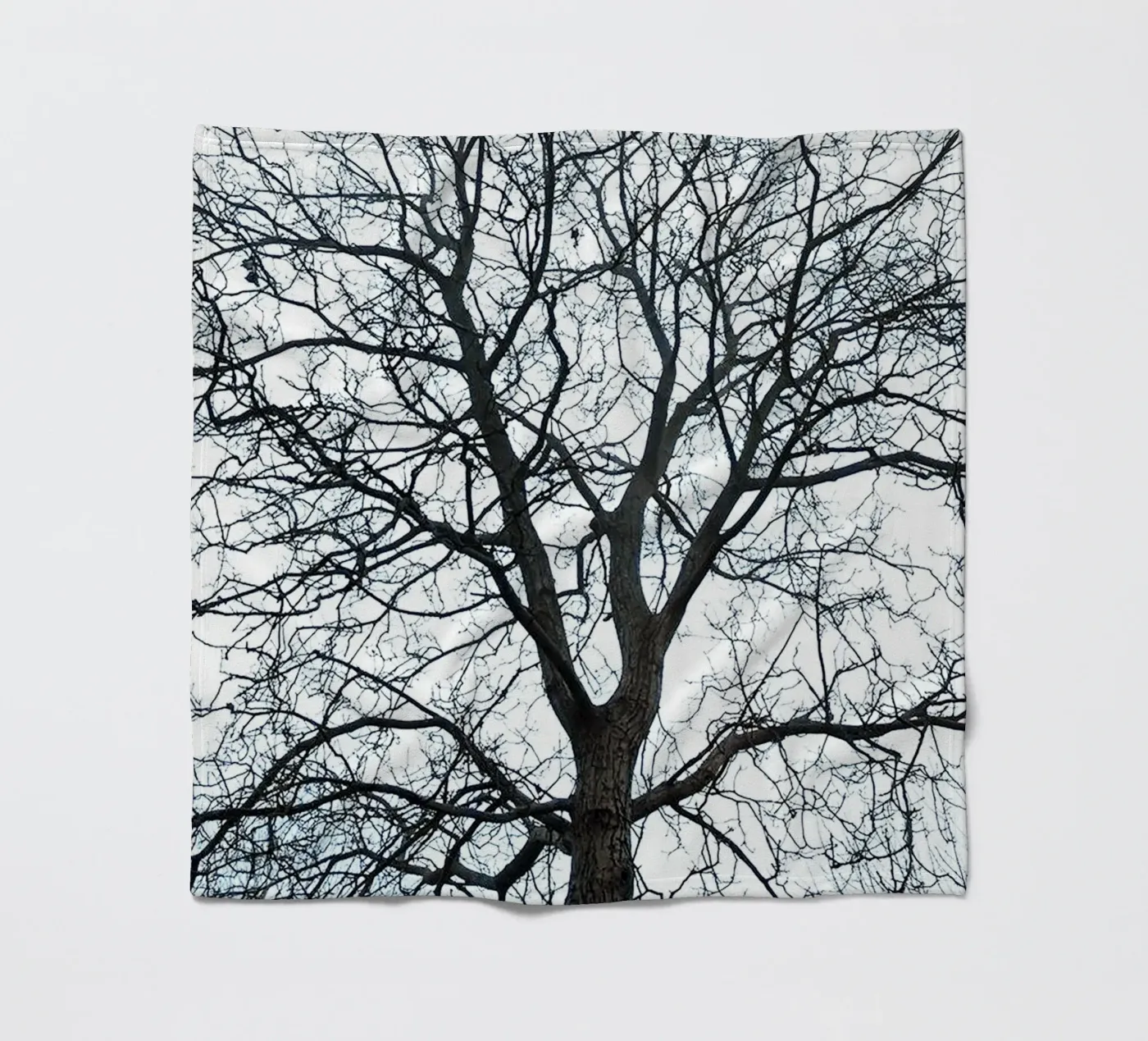 Dry Trees fleece blanket by rapunsell