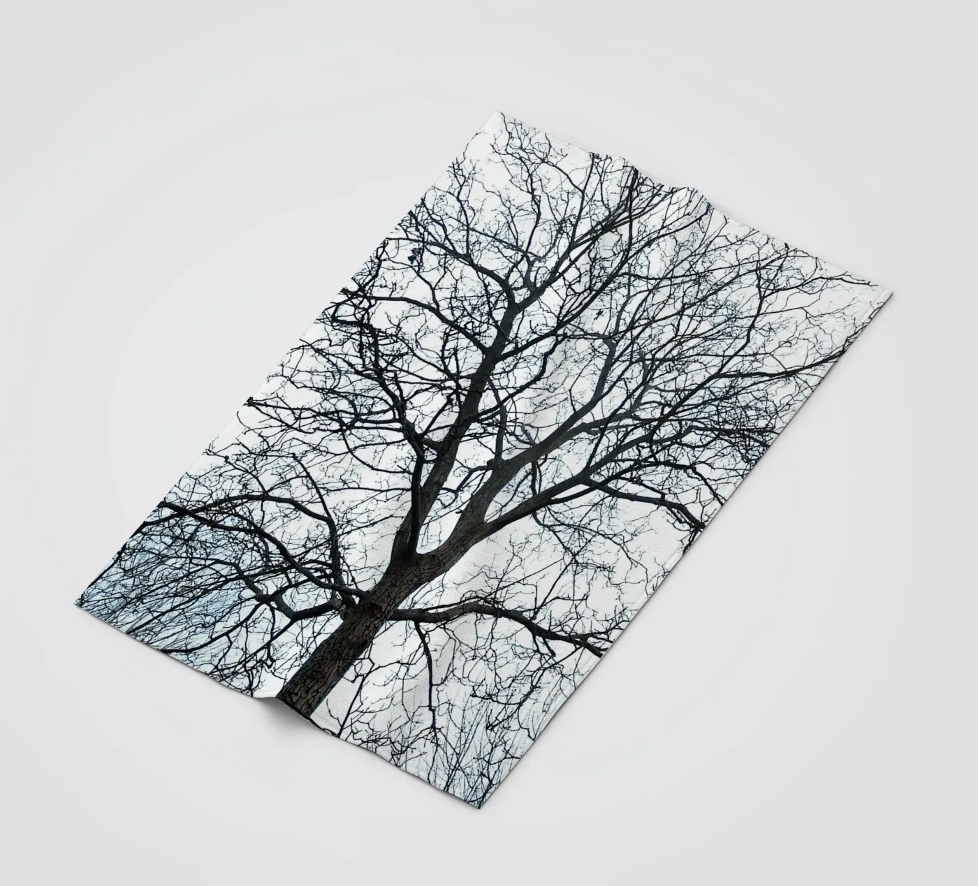Dry Trees fleece blanket by rapunsell