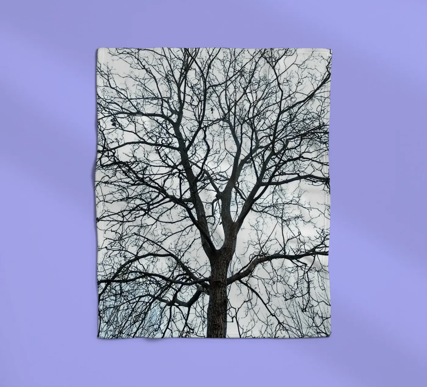 Dry Trees fleece blanket by rapunsell