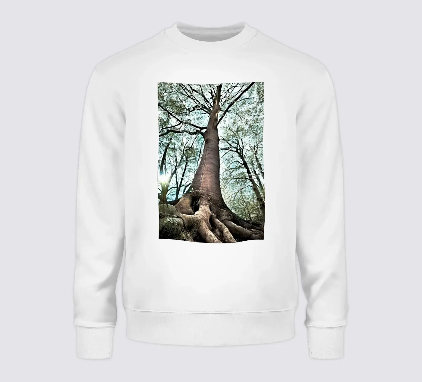 Albero della foresta felpa da rapunsell