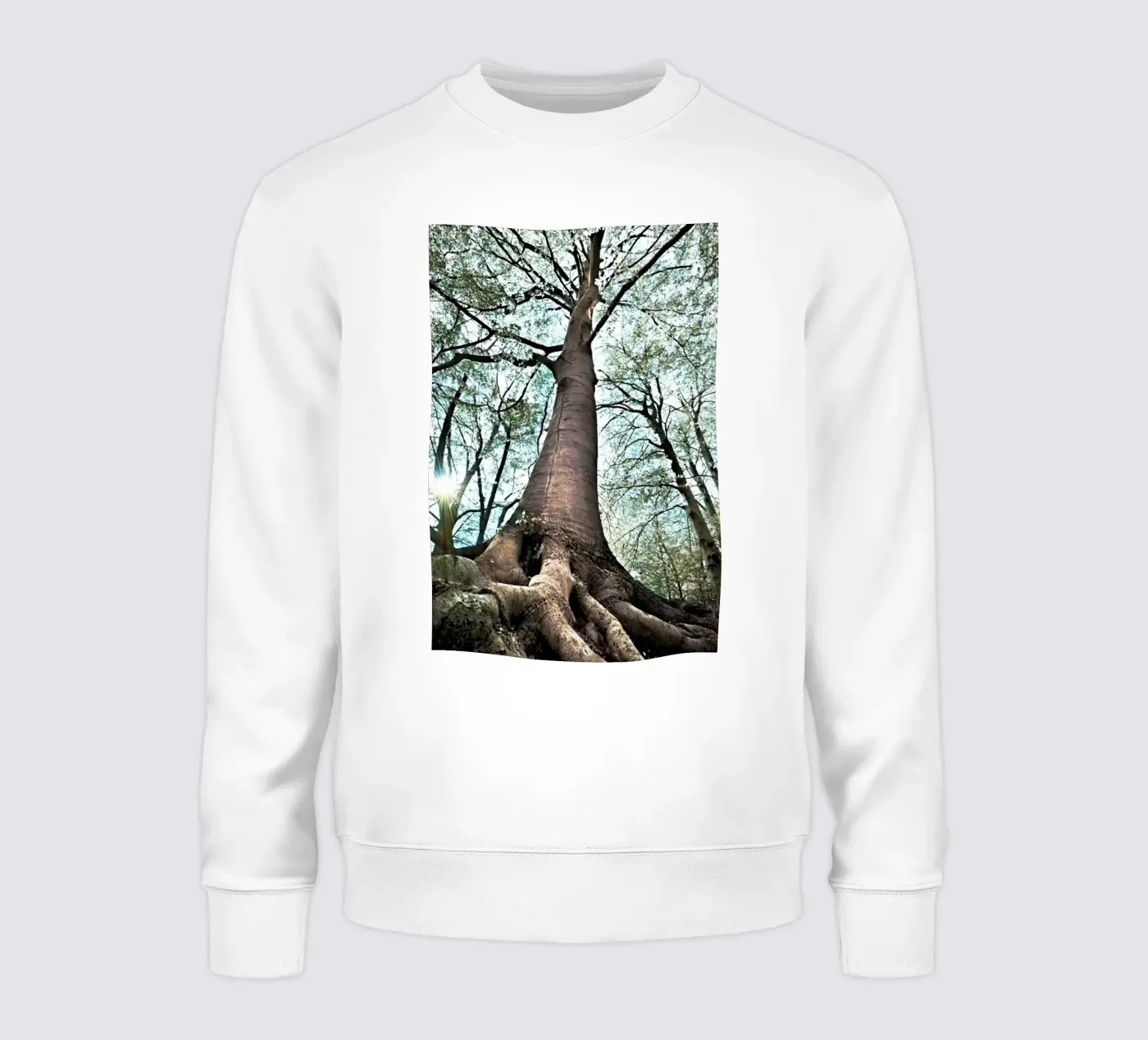Albero della foresta felpa da rapunsell