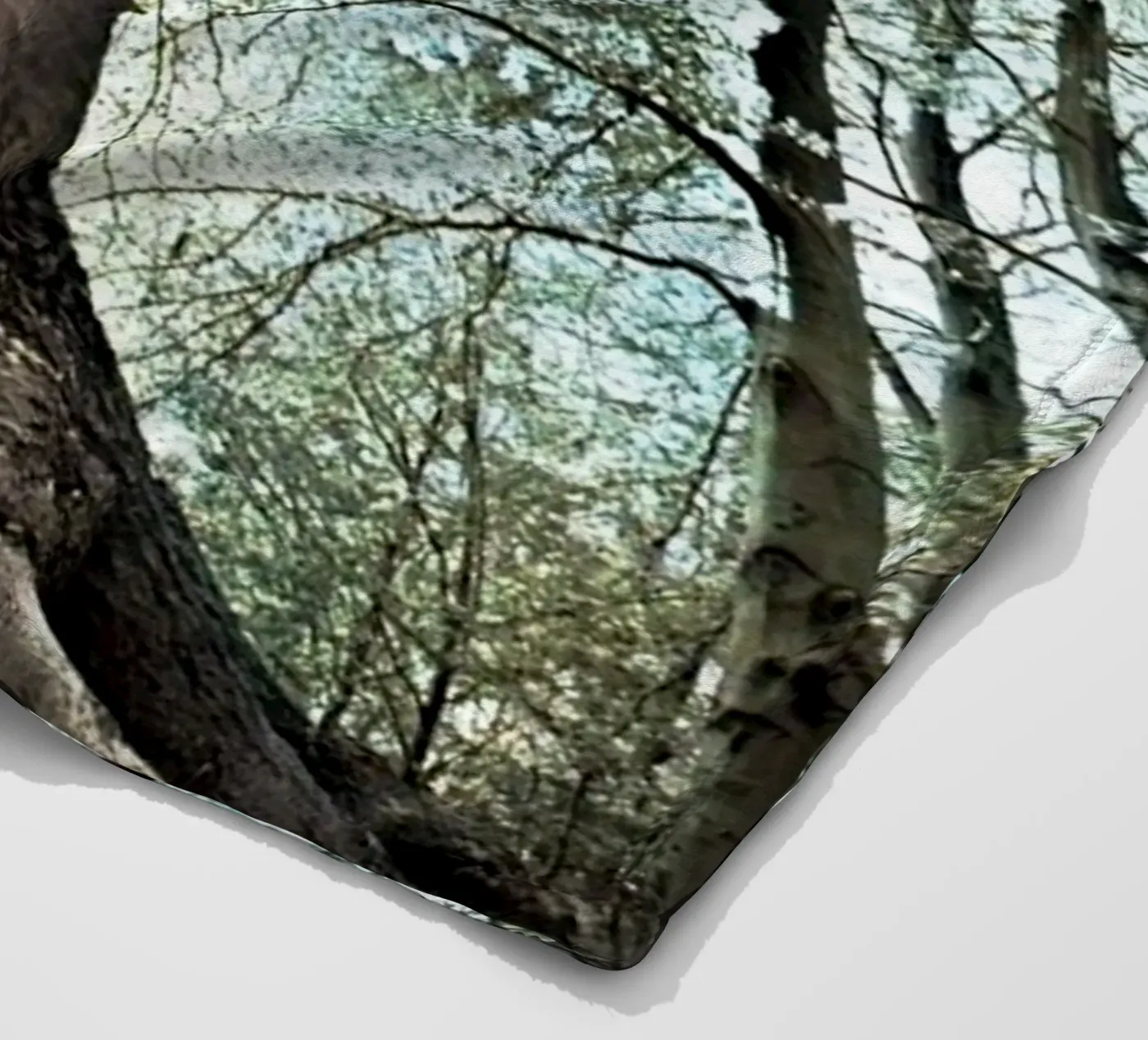 Albero della foresta coperta in pile da rapunsell